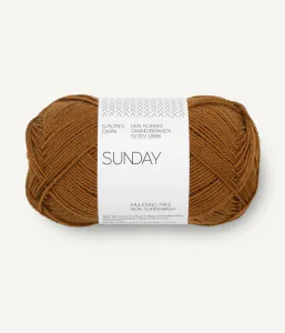 Hovedbilde Sunday 2573 