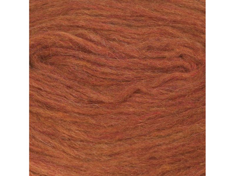 Plotulopi  ravgul 1426